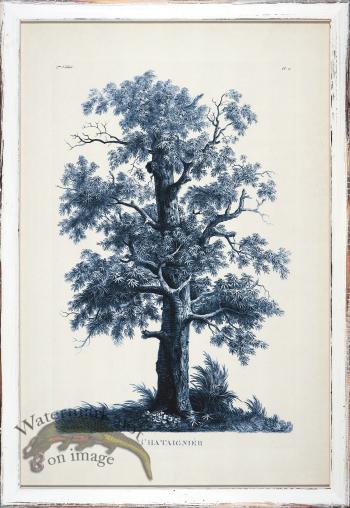 Blue Trees in Distressed White 01